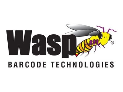 Wasp